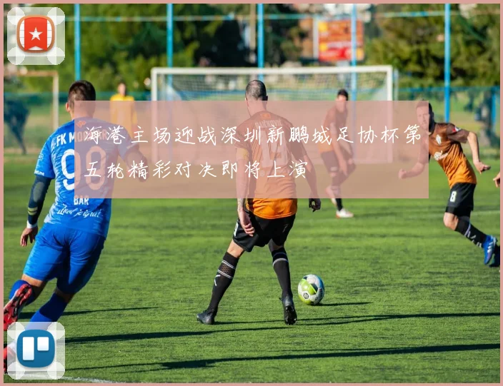 海港主场迎战深圳新鹏城足协杯第五轮精彩对决即将上演