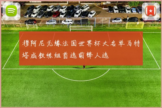 穆阿尼无缘法国世界杯大名单马特塔成教练组首选前锋人选
